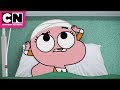 The Amazing World of Gumball | Anais On the Loose! | Cartoon Network