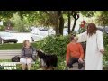 Pegadinha - Melhores pegadinhas de Jesus.
