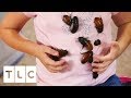 The Girl Who Collects Cockroaches | My Kid's Obsession